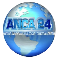 Agencia de Noticias Canal Azul 24